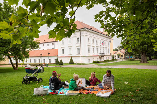 Piknik ve vlašimském parku